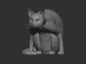 Zbrush